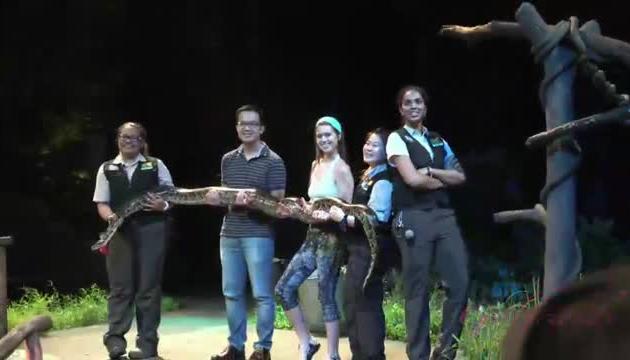 Virtual Vacation Singapore to Malaysia 11