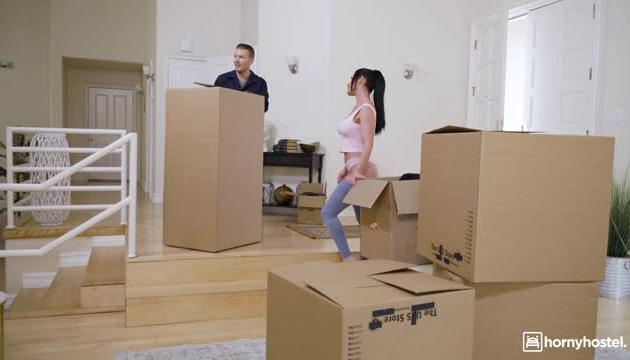 Boxed And Banged