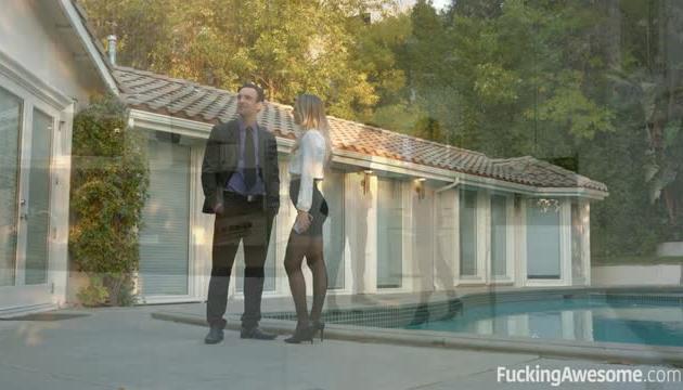 The Perfect Realtor