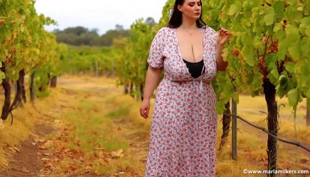 Vineyard