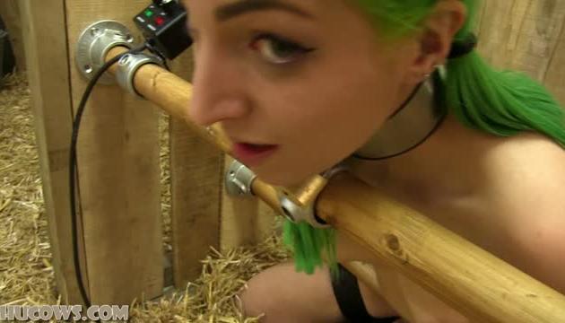 Liz â milked on the Sybian