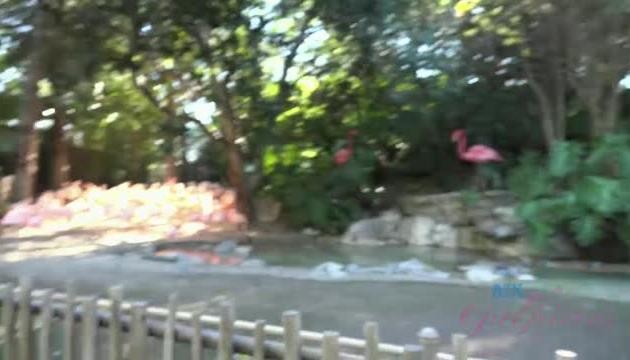 La Zoo 12