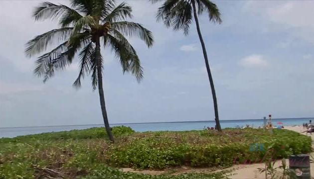 Big Island 47